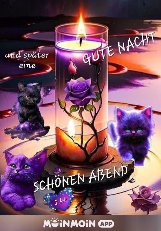 Abend Gute Nacht Bilder Kostenlos 100