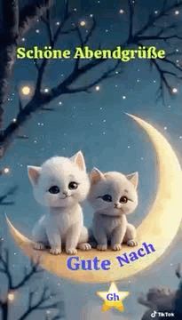 Abend Gute Nacht Bilder Kostenlos 122