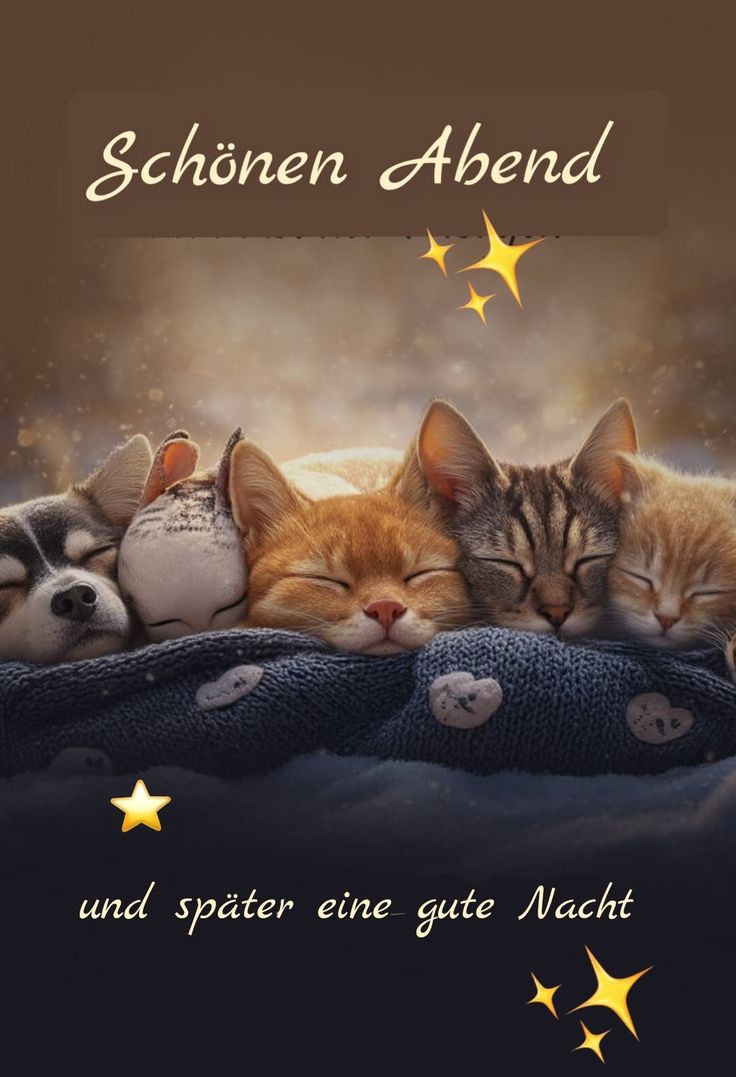 Abend Gute Nacht Bilder Kostenlos 2