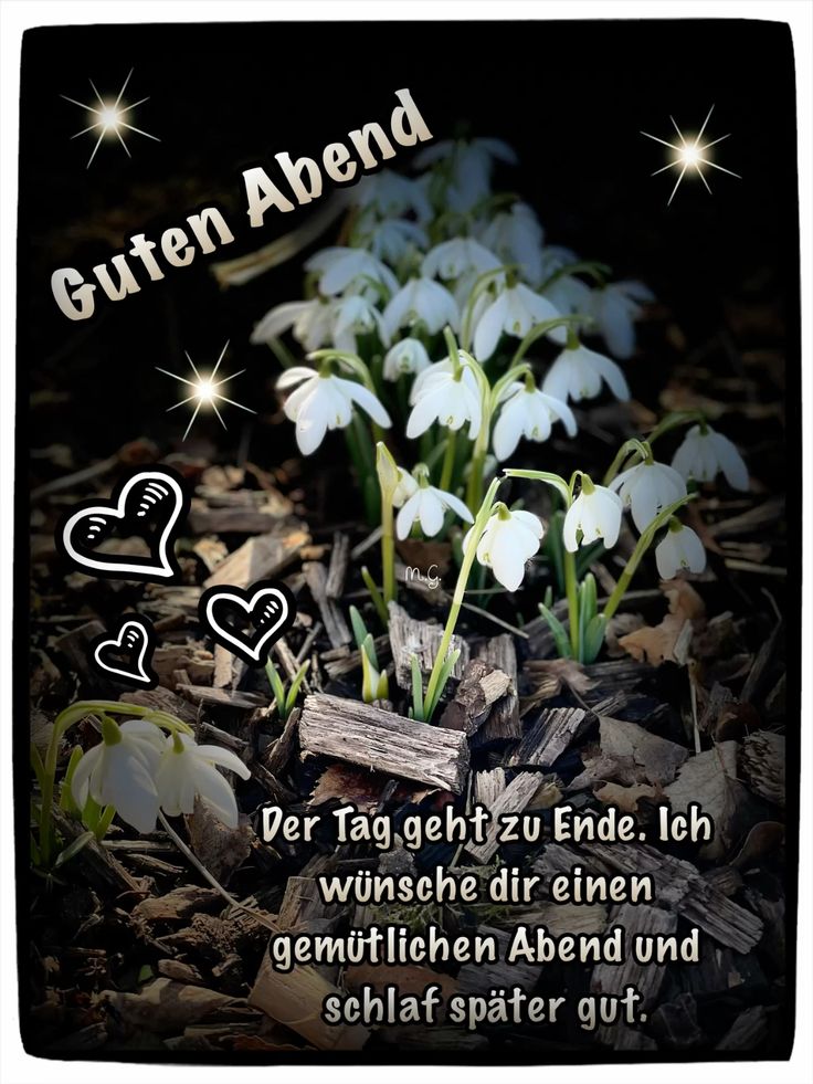 Abend Gute Nacht Bilder Kostenlos 21