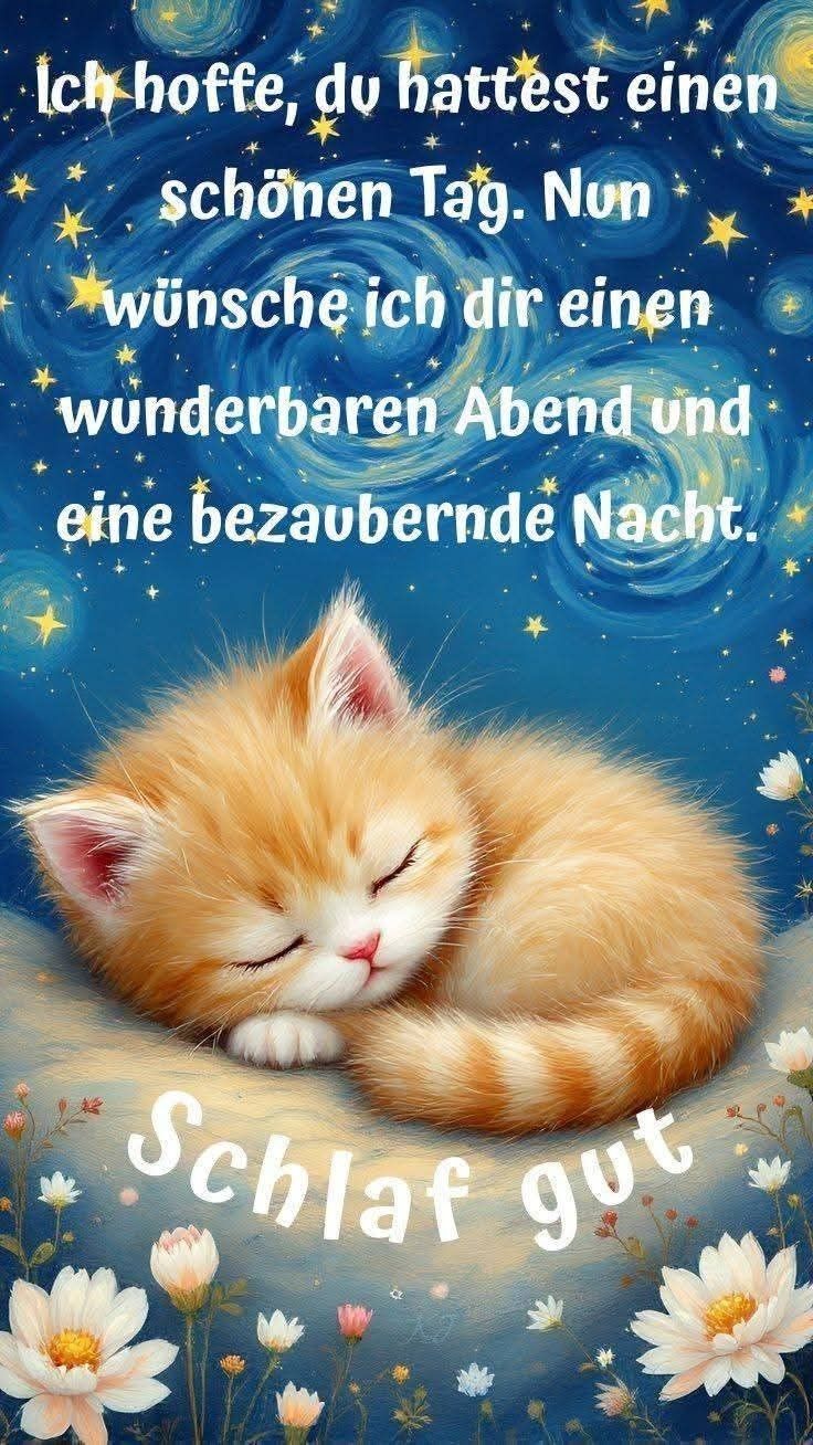 Abend Gute Nacht Bilder Kostenlos 39