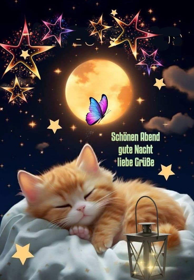 Abend Gute Nacht Bilder Kostenlos 4