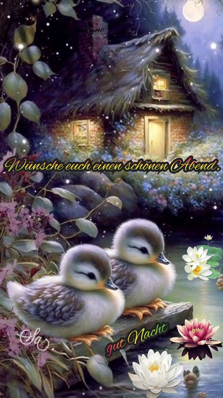 Abend Gute Nacht Bilder Kostenlos 74