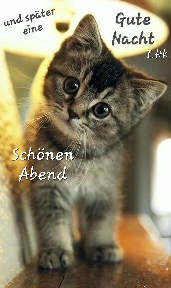 Abend Gute Nacht Bilder Kostenlos 75