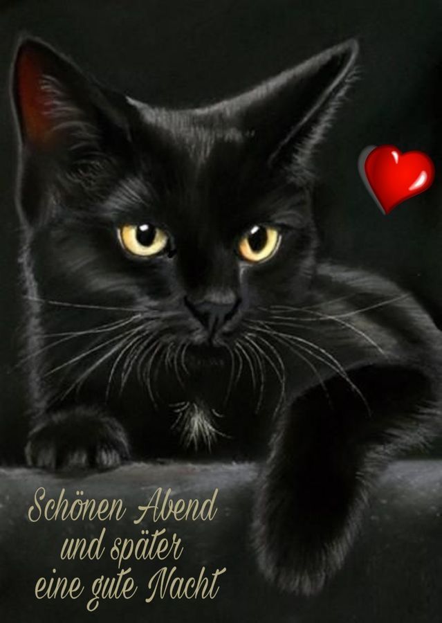 Abend Gute Nacht Bilder Kostenlos 86