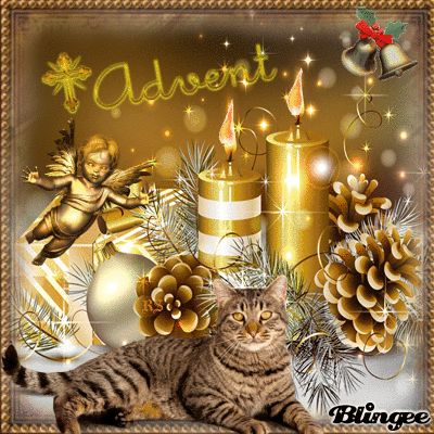 Advent Bilder Kostenlos 103