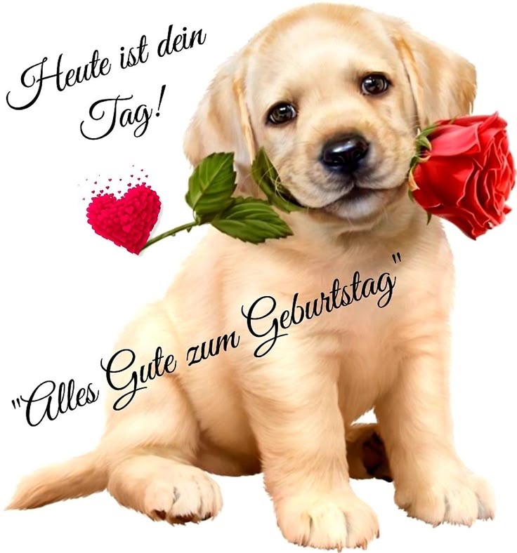 Alles Gute Zum Geburtstag Bilder 90