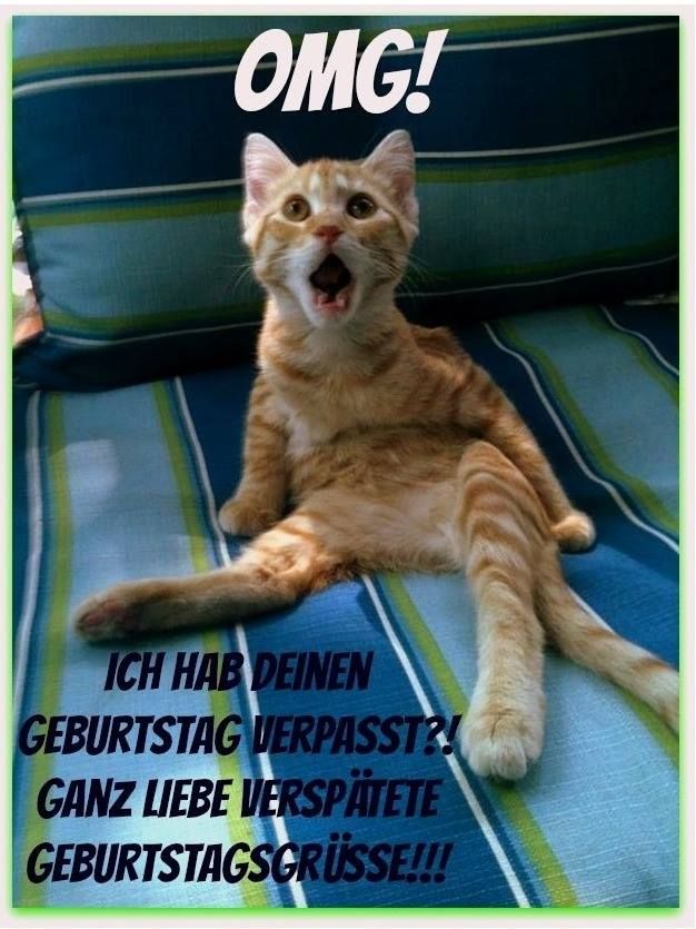 Bilder Geburtstag Lustig 124
