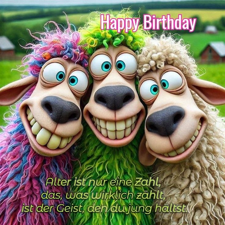 Bilder Geburtstag Lustig 135