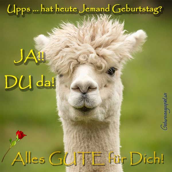 Bilder Geburtstag Lustig 145
