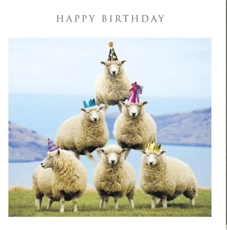 Bilder Geburtstag Lustig 150