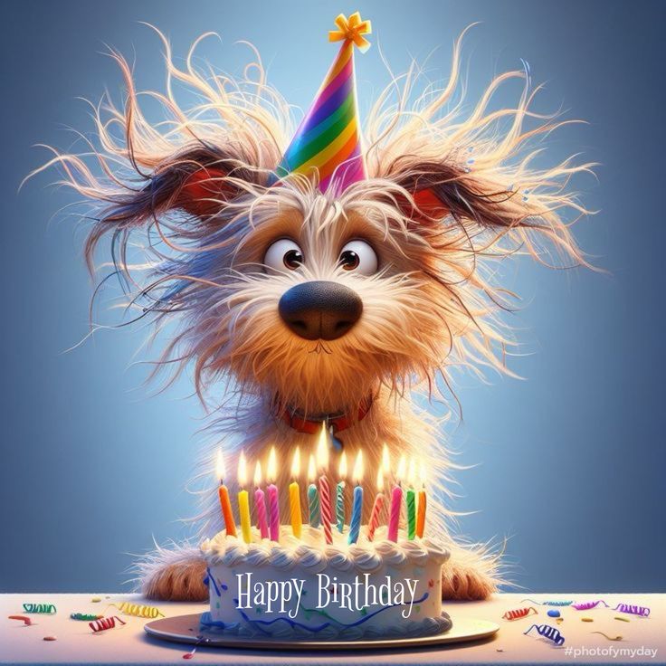 Bilder Geburtstag Lustig 31