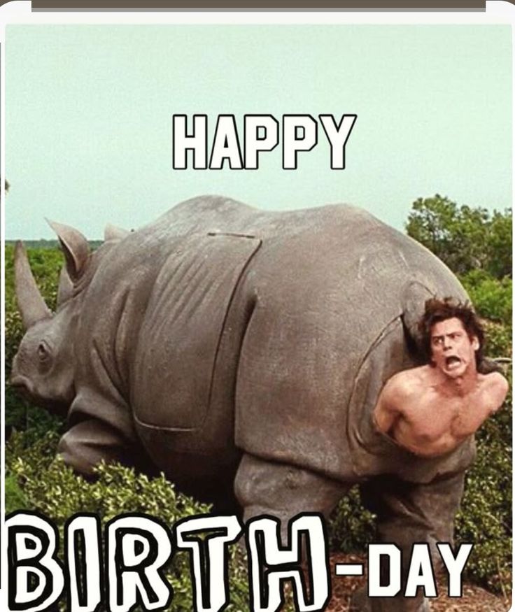 Bilder Geburtstag Lustig 33