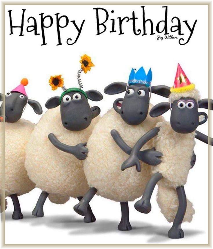 Bilder Geburtstag Lustig 4