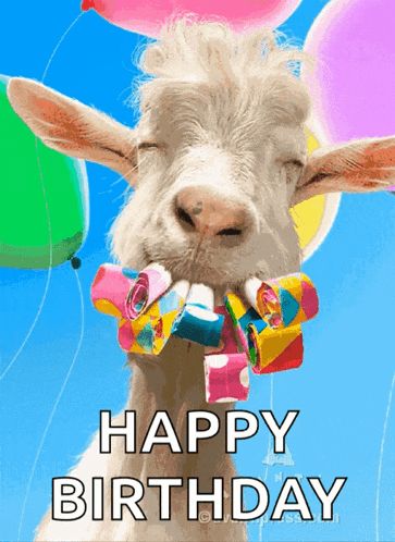 Bilder Geburtstag Lustig 44