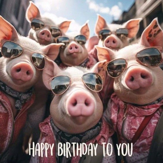 Bilder Geburtstag Lustig 51