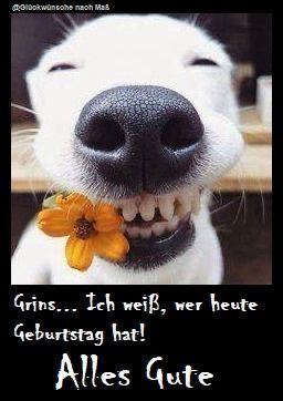 Bilder Geburtstag Lustig 99