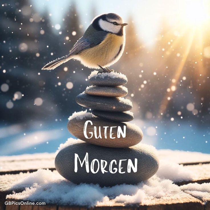 Bilder Guten Morgen Lustig 10
