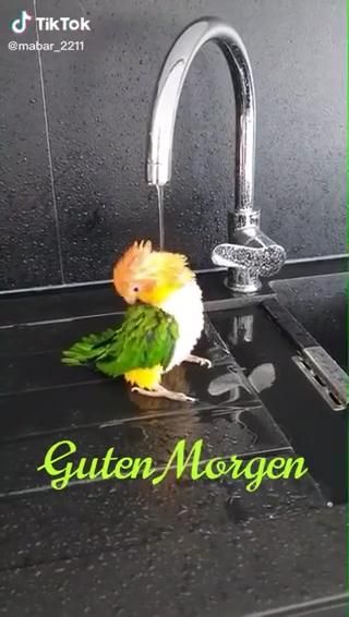 Bilder Guten Morgen Lustig 126