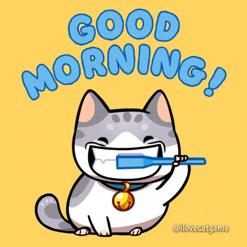 Bilder Guten Morgen Lustig 127