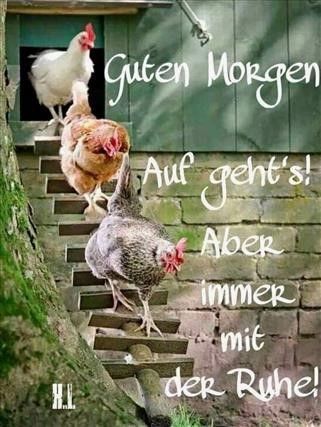 Bilder Guten Morgen Lustig 13