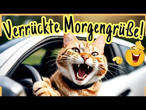 Bilder Guten Morgen Lustig 138