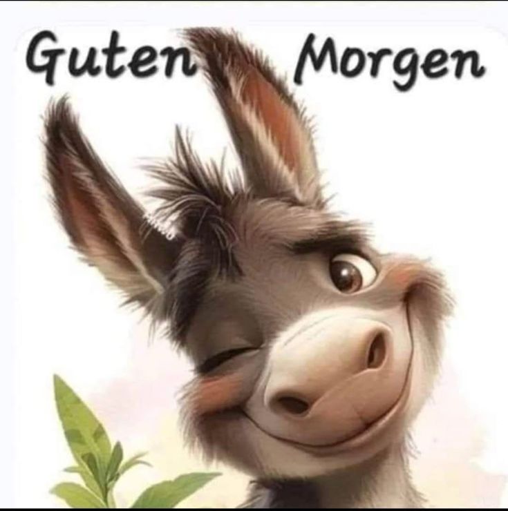 Bilder Guten Morgen Lustig 16