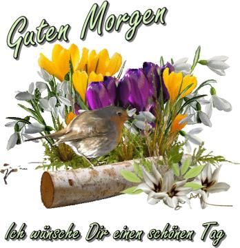 Bilder Guten Morgen Lustig 55