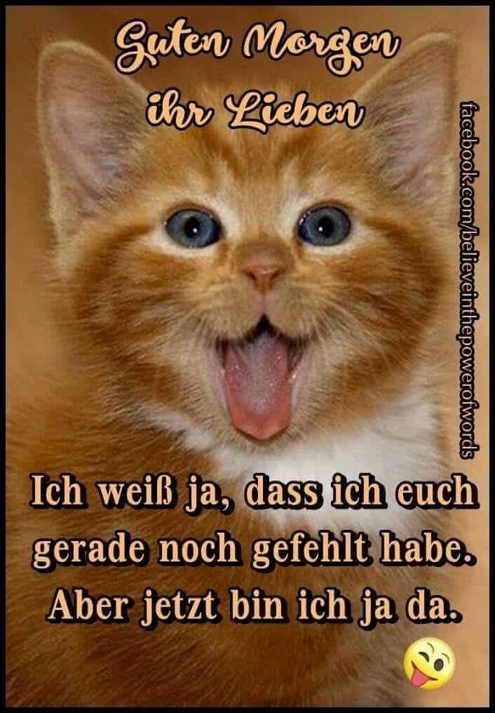 Bilder Guten Morgen Lustig 9