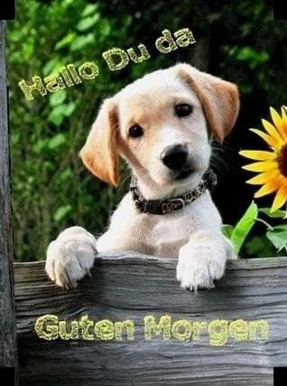 Bilder Guten Morgen Lustig 93