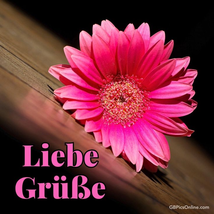 Bilder Lieben Gruß 121