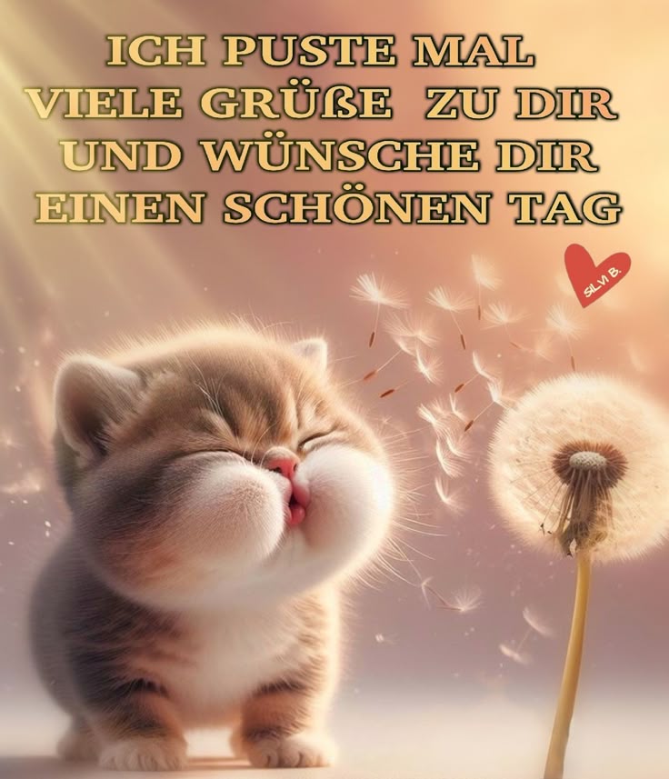 Bilder Lieben Gruß 123