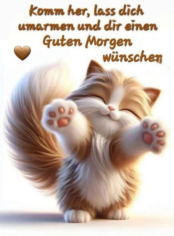 Bilder Lieben Gruß 18