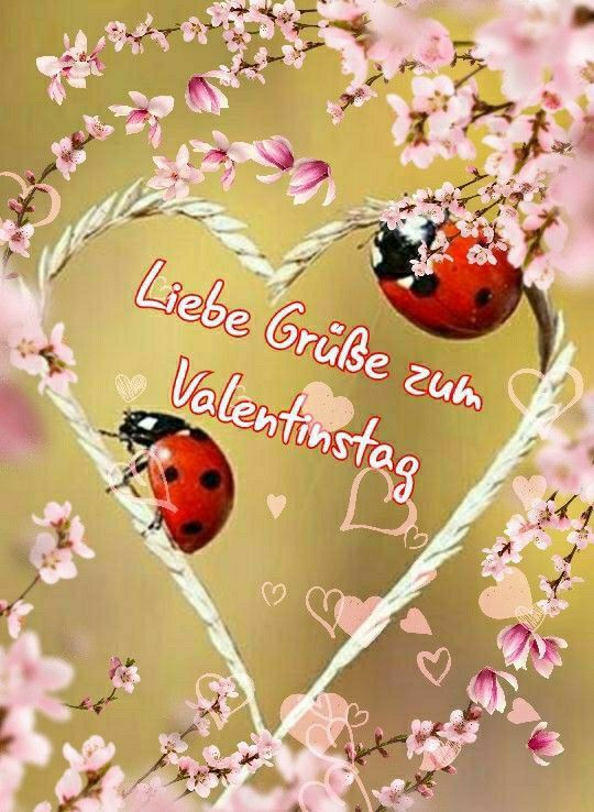 Bilder Lieben Gruß 37