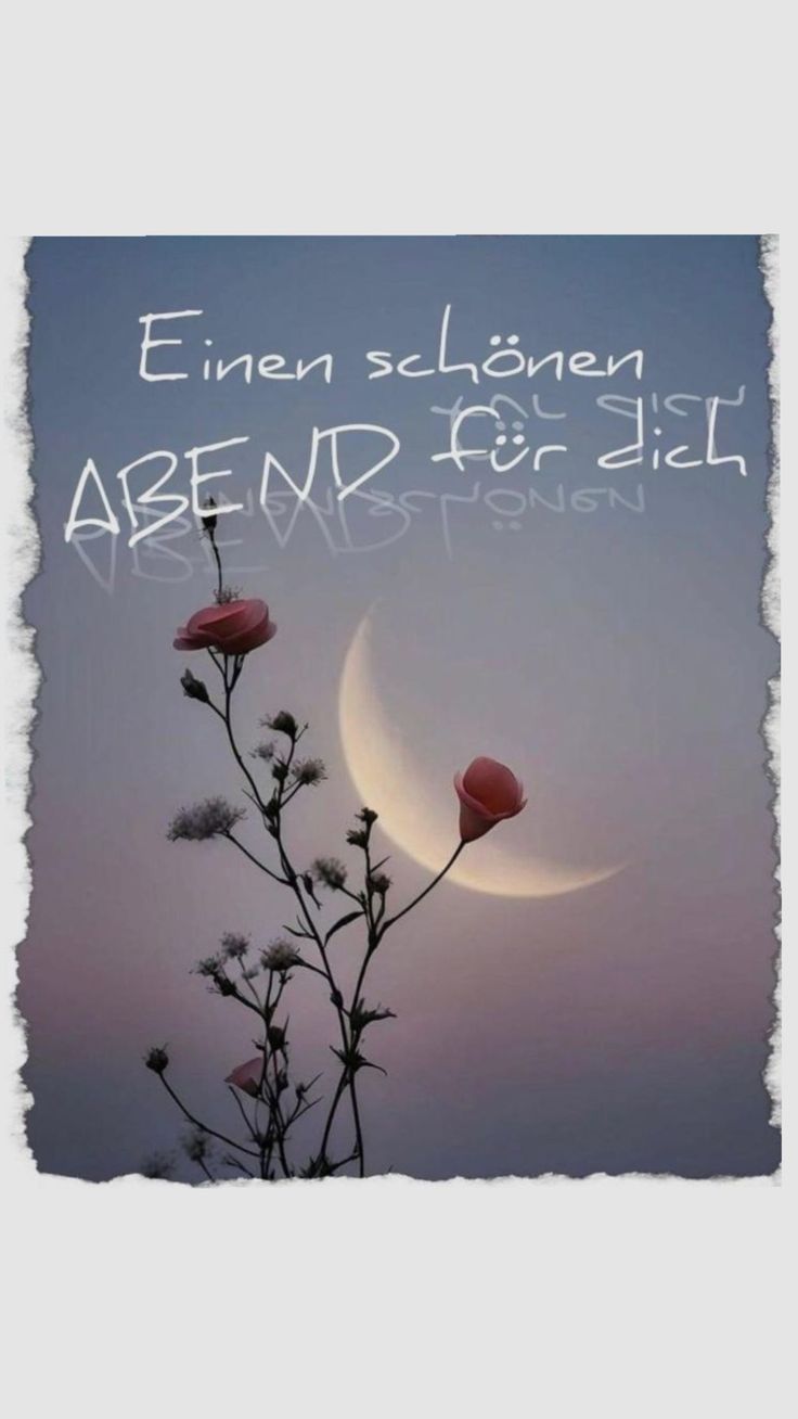 Bilder Schönen Abend 110