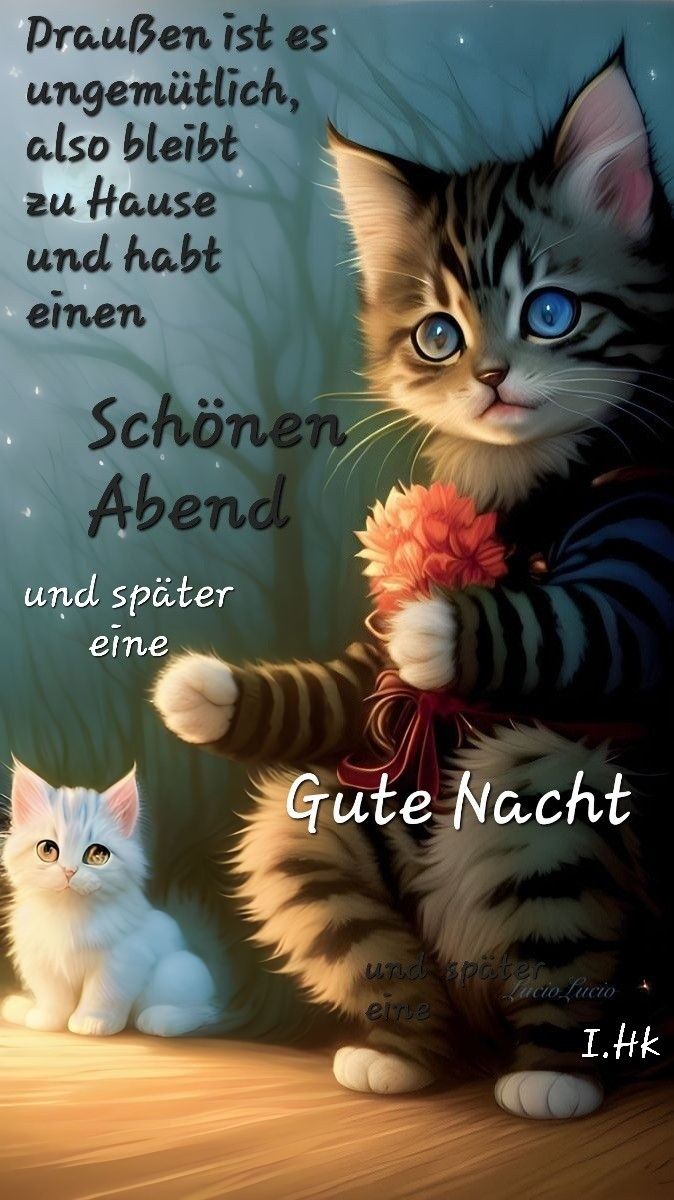 Bilder Schönen Abend 148