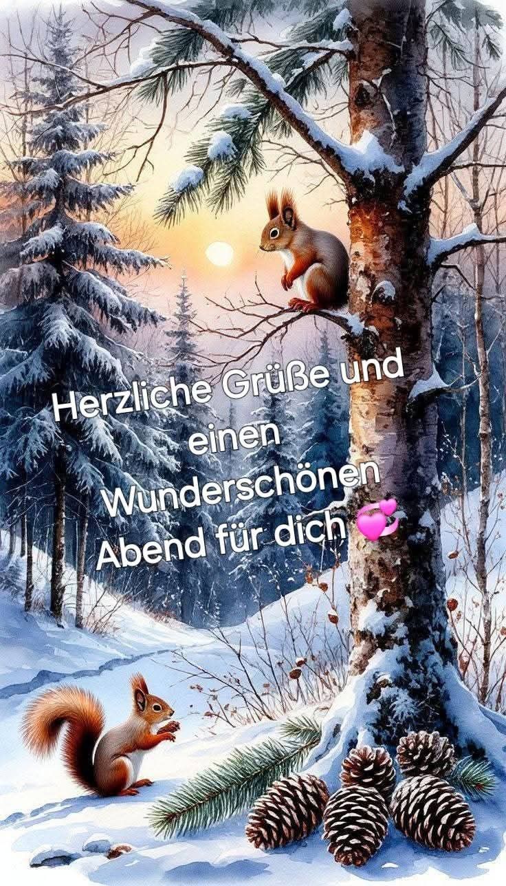 Bilder Schönen Abend 15