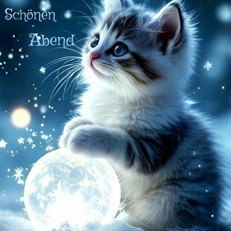 Bilder Schönen Abend 18