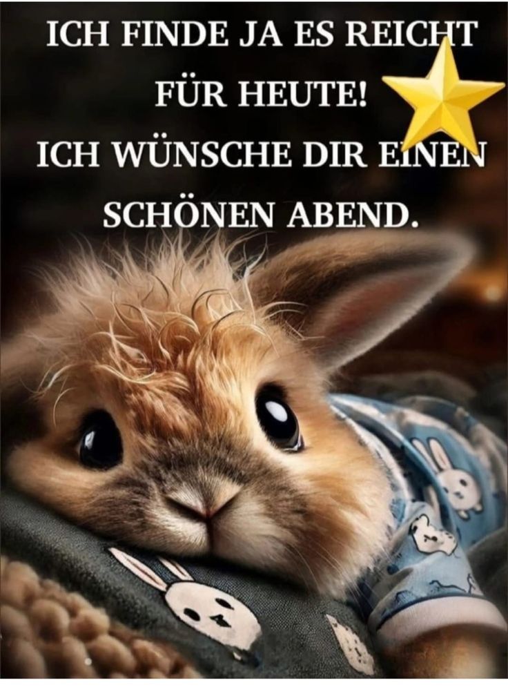 Bilder Schönen Abend 37