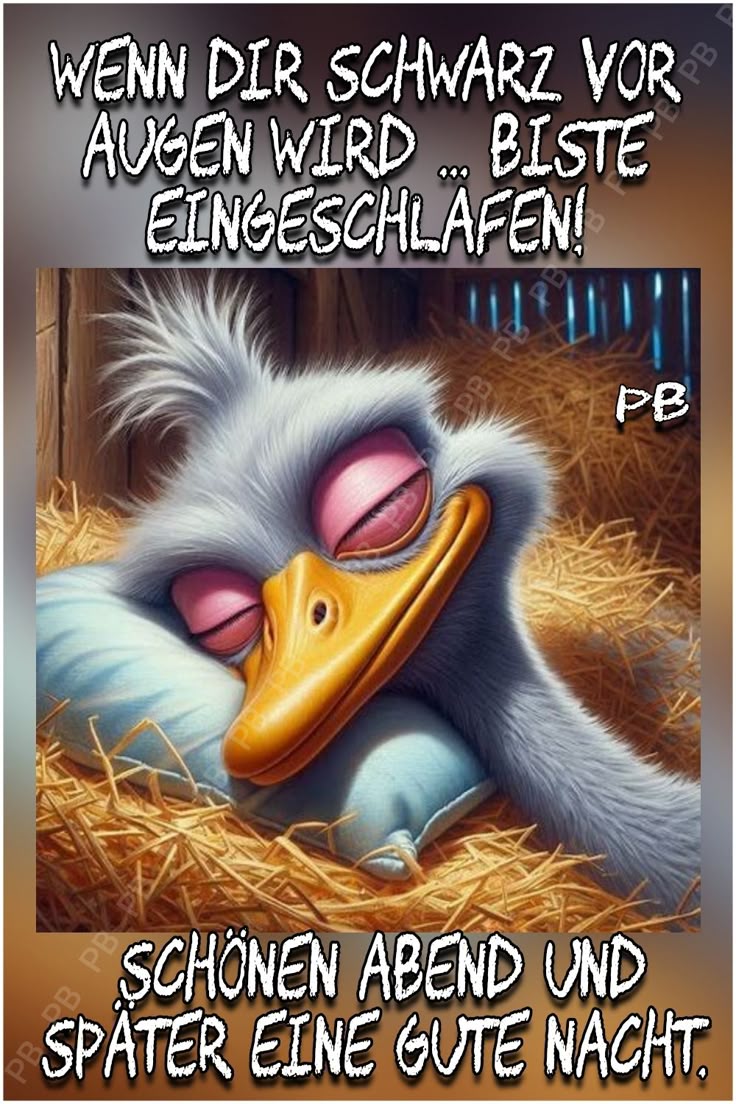 Bilder Schönen Abend 40
