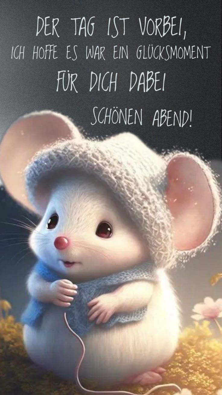 Bilder Schönen Abend 44