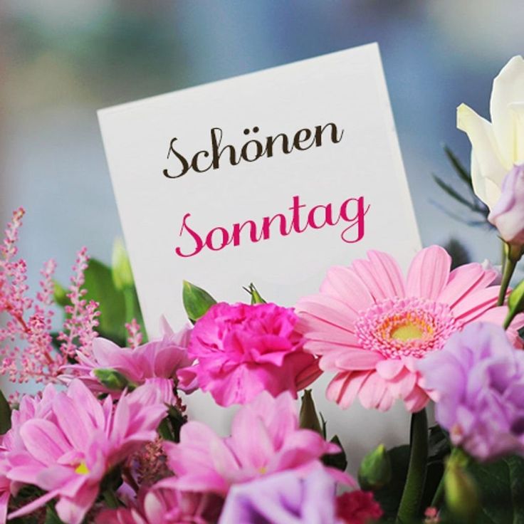 Bilder Schönen Sonntag 102