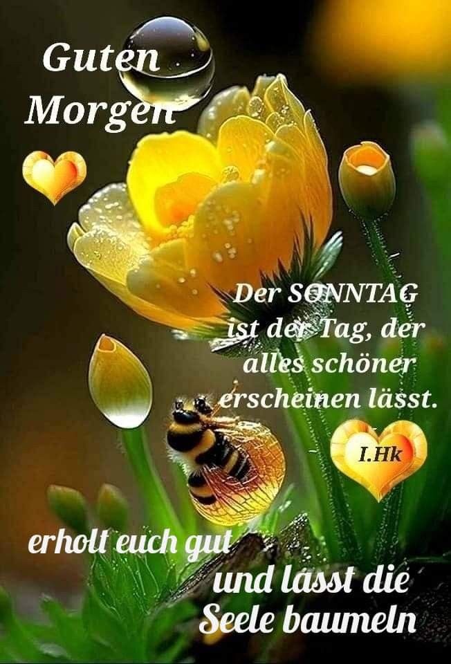 Bilder Schönen Sonntag 131