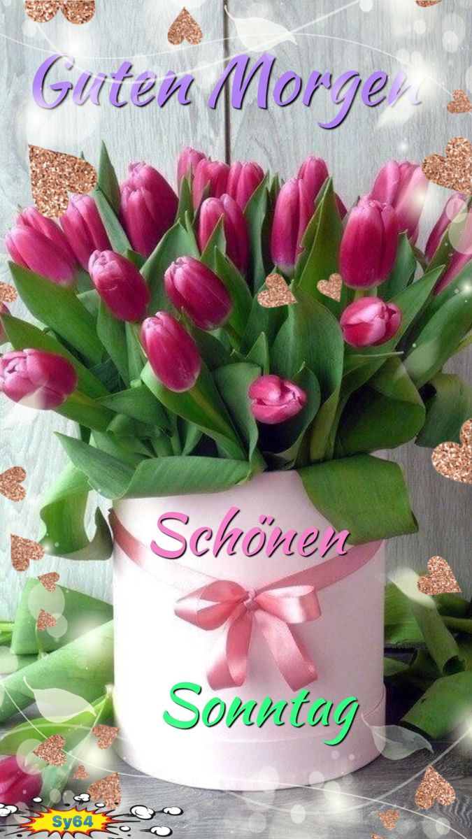 Bilder Schönen Sonntag 136