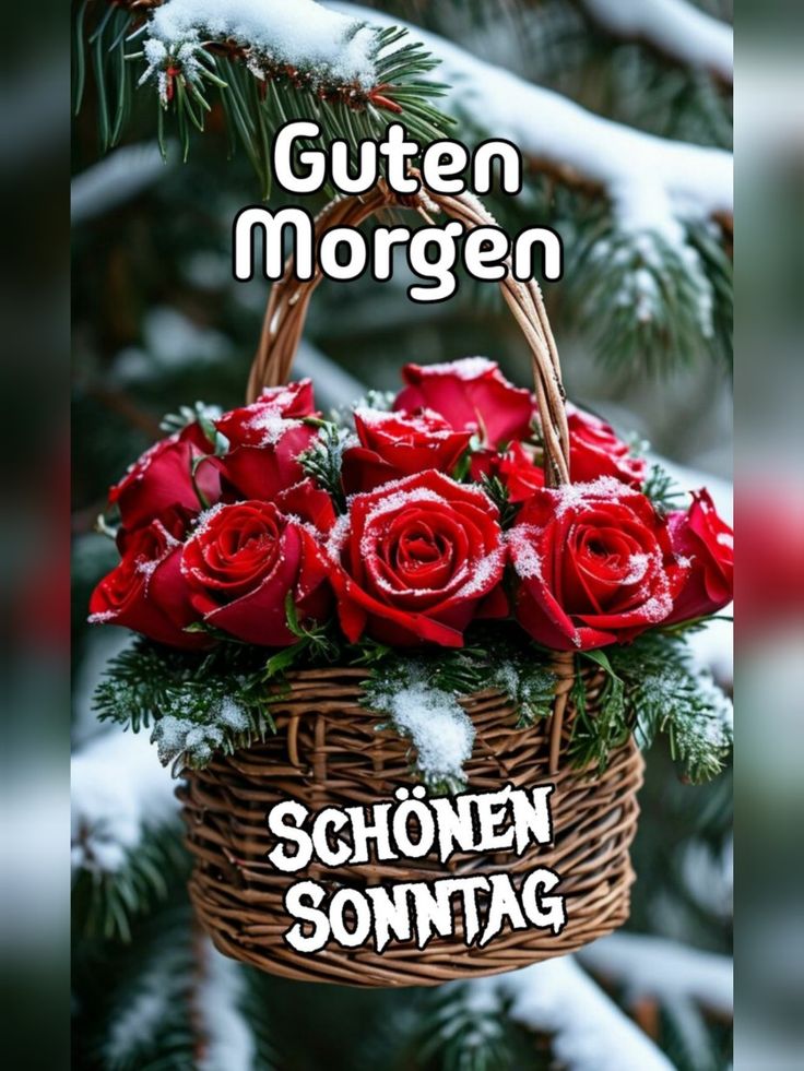 Bilder Schönen Sonntag 140