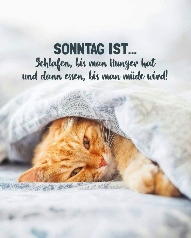 Bilder Schönen Sonntag 22