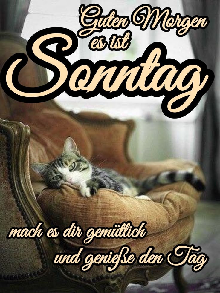 Bilder Schönen Sonntag 39