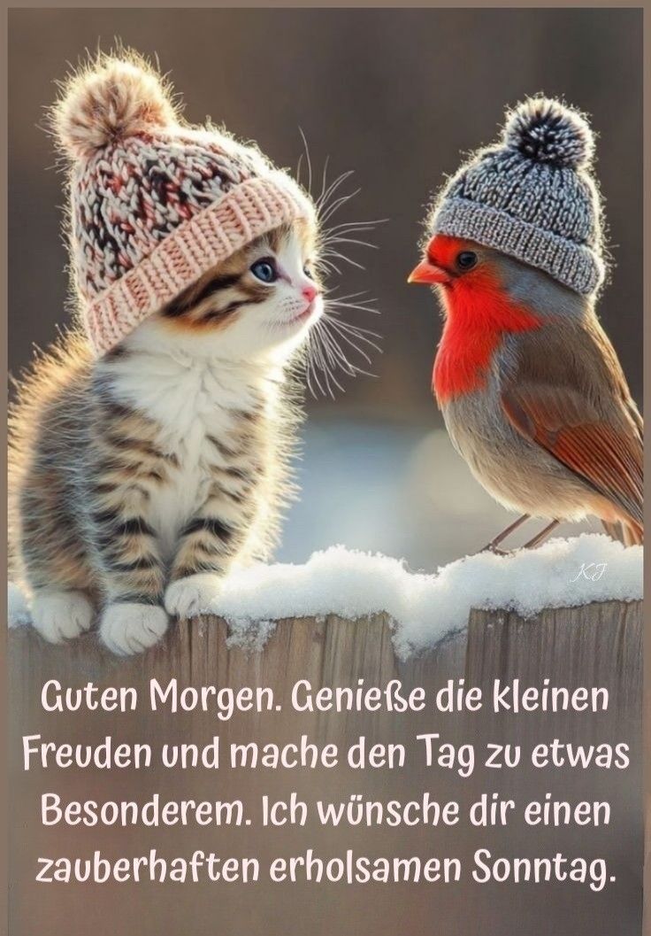 Bilder Schönen Sonntag 51