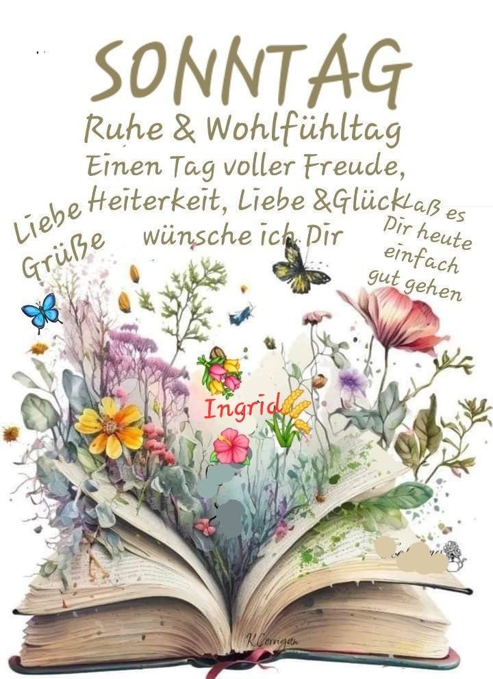Bilder Schönen Sonntag 91
