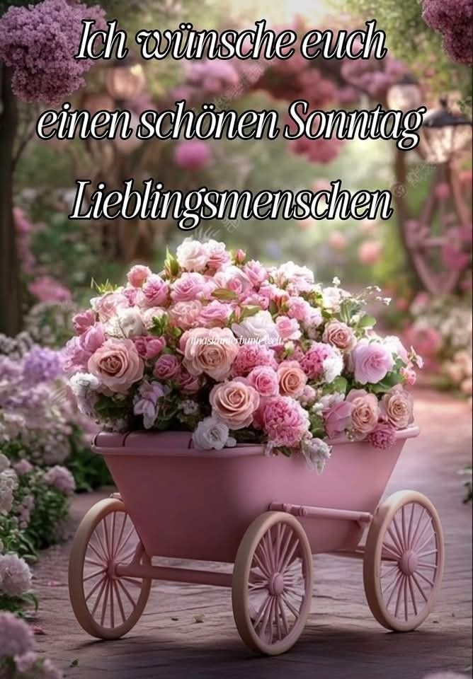 Bilder Schönen Sonntag 93